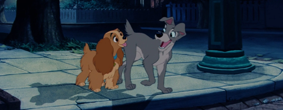 Леди и бродяга